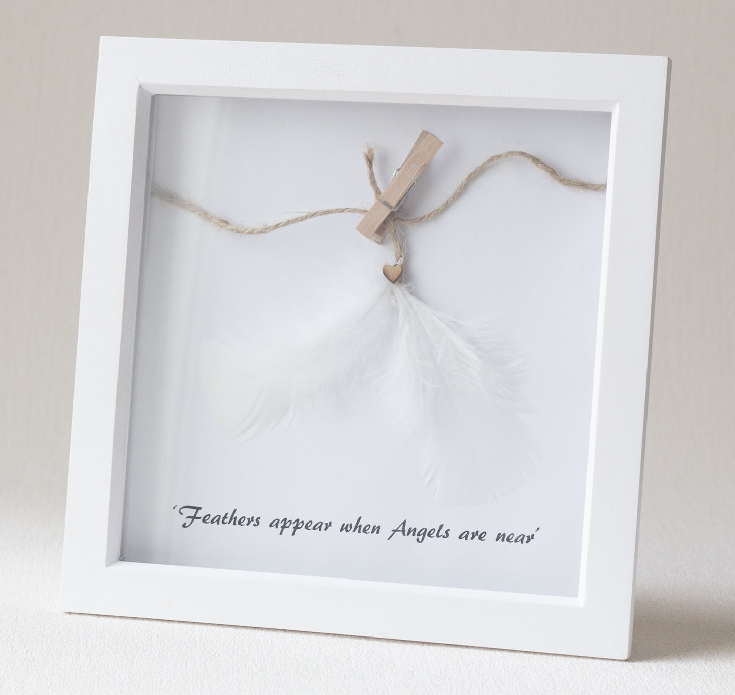 Feather Picture Frame