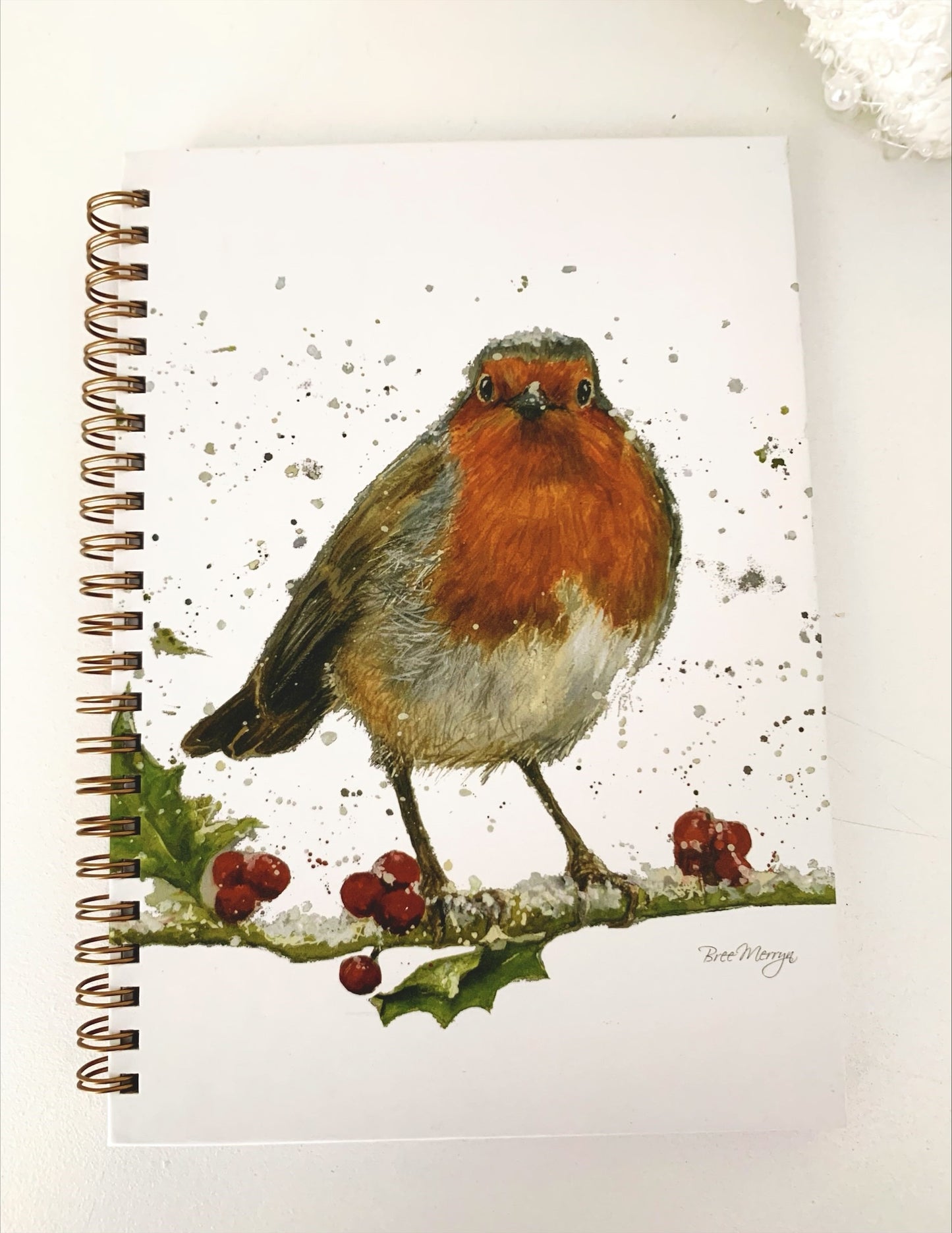 Robin Notebook