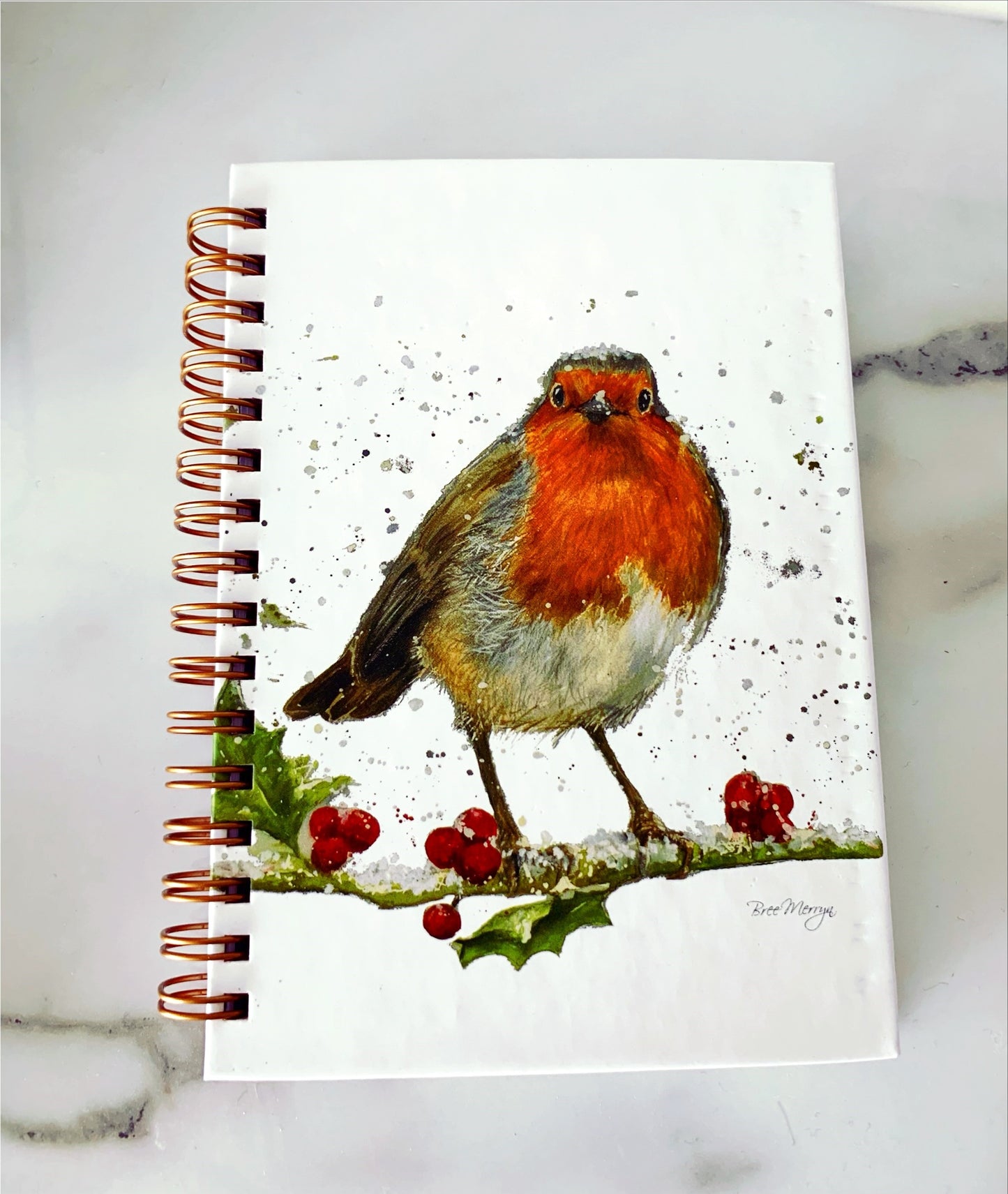 Robin Notebook
