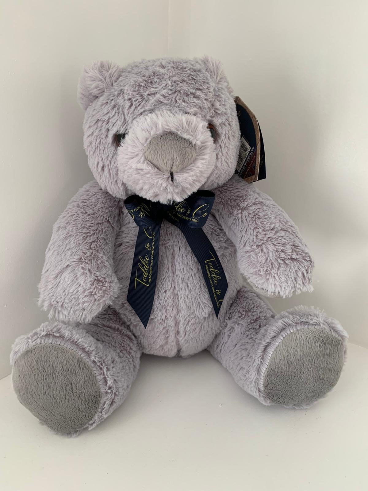 Memory Message Bear