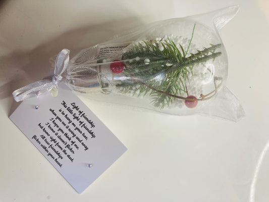Friendship Light Gift