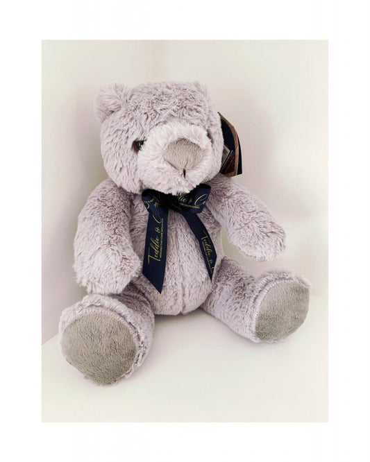Memory Message Bear
